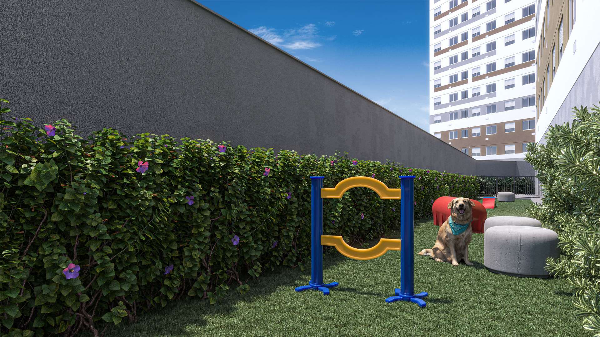 Pet Place
